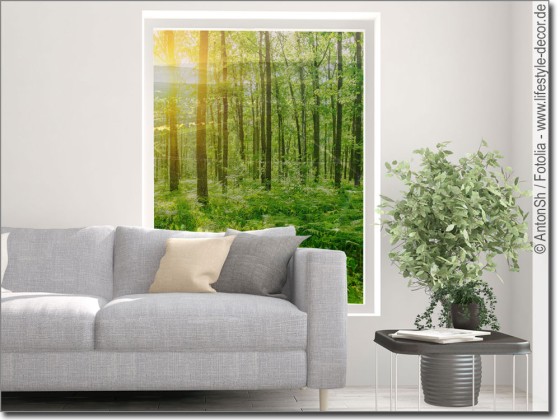 Preview: Glasbild Sommerwald Preview: Glasbild Sommerwald